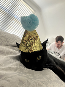 Party Hat